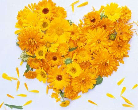 Fresh Marigold Wreaths - flowers, wreaths, marigold, heart, yellow