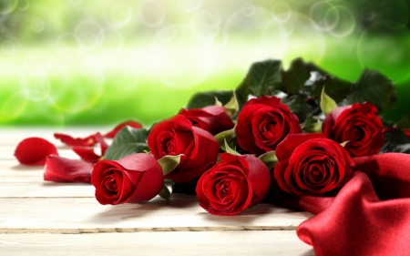 Red Roses - flowers, still life, roses, red