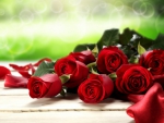 Red Roses