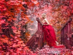 Autumn in Red