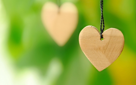 Hearts - valentine, wood, green, heart