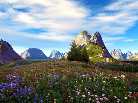 Mountains and mountain flowers - flowers, mountains, klowds, sky