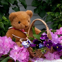 teddy bear and flower