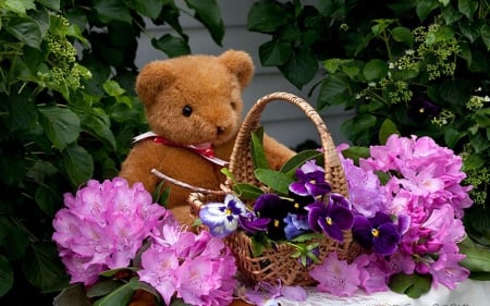 teddy bear and flower - teddy, floweer, art, ab