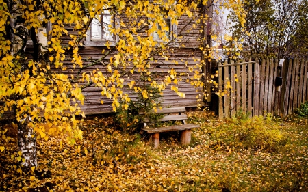 Autumn - house, trees, road, colors, forest, walk, leaves, fall, path, colorful, nature, autum, autumn splendor, bench, park