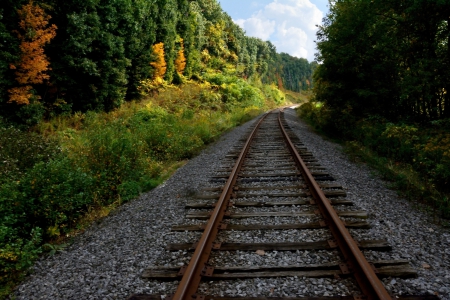 Autumn Tracks - autumn woods, autumn colors, autumn view, autumn trail, autumn tracks, scenic autumn