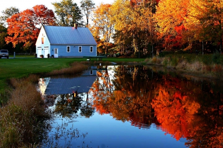 Duck Pond - cottage, autumn, fall, trees, reflection, water, colors