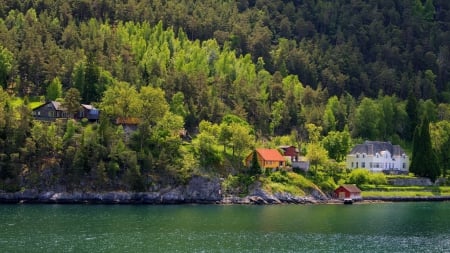 Houses on Forest Mountain - nature, houses, forests, architecture, mountains