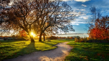 Dayspring Delight - trees, trail, green grass, beautiful, clouds, park, sunrise