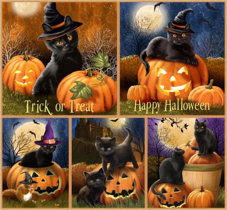 Trick or Treat - pumpkins, halloween, moon, cats, trick or treat, bats, hats