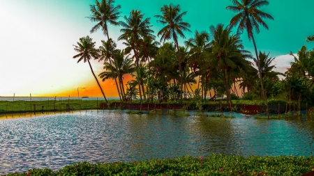 Beautiful Lagoon and Palm Trees - palm trees, lagoons, nature, beaches