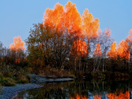 Patch of Bright Orange in Autumn Forest - orange, lake, forests, trees