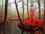 Red Autumn