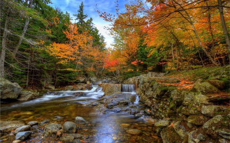 * Autumn * - forest, nature, river, autumn