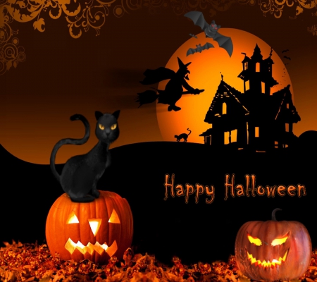 Halloween - season, bats, cat, night, black, witch, pumpkins, halloween, abstract, orange