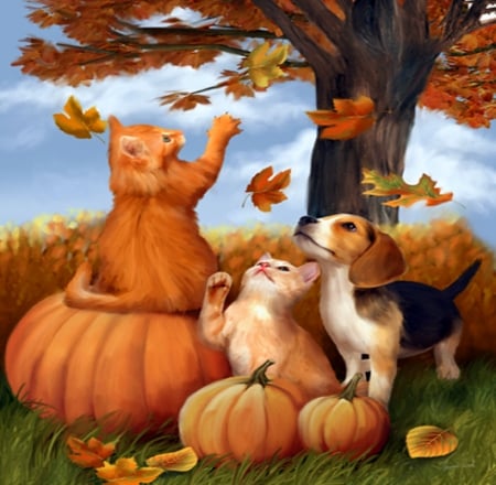 ★Fun in Fall★ - pretty, fun, pumpkins, creative pre-made, leaves, kittens, dogs, cats, paintings, puppies, colors, lovely, fall season, nature, autumn, cute, love four seasons