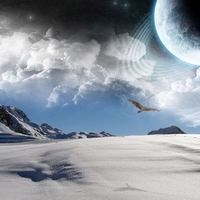 Dreams of a Fantasy World