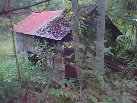 The Barn - fall, tree, country, barn