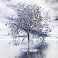 Silver tree