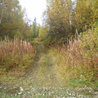 thick trail