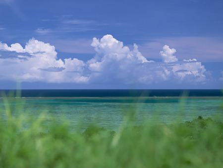 Japanese Nature - landscap, nature, sky