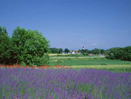 Japanese Nature - landscap, nature, sky