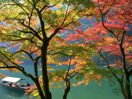 Japanese Nature - landscap, nature