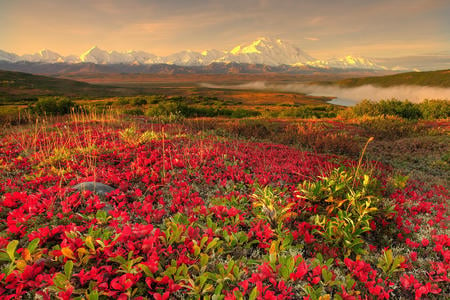 Forces of nature - landscap, nature