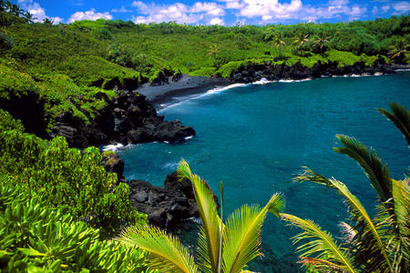 Beautyful beach - landscap, nature, beach