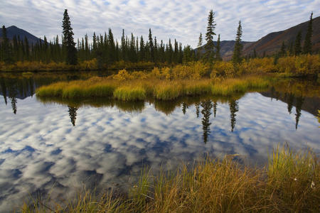 Lake reflection - landscap, nature, sky