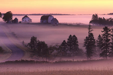 Wonderful Nature  - landscap, nature