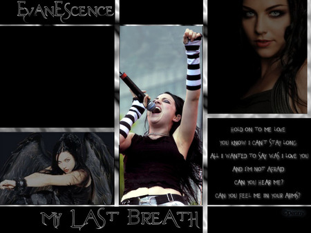 EVANESCENSE - evanescense, rock