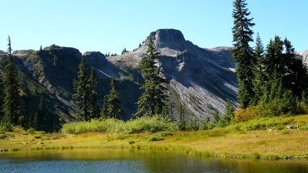 Table Mountain - forest, pond, water, washington, widescreen, mountain