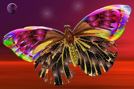 Butterfly - colorful, butterfly, abstract