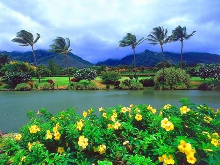 Maui Tropical Plantation - beaches, nature, plantation, maui, flowers, wind