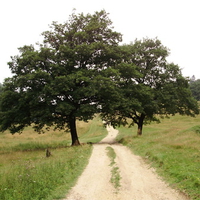 Landscape _ Romania