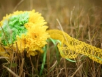 Yellow bouquet