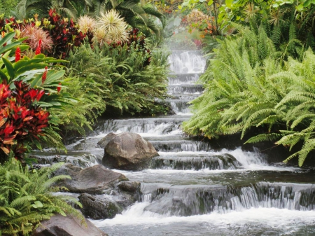 Beautiful Waterfall - flowers, stone, trees, nature, waterfall