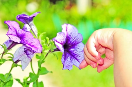 Tender Touch - pathway, bokeh, trees, hand, flowers, child, grass