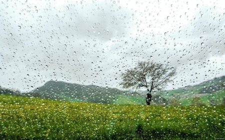 Raindroplets countryside - abstract, raindrops, summer, photography, HD, spring, droplets, tree, nature, autumn, rain, field, seasons, mountains, wallpaper