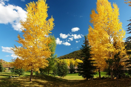 Beautiful Autumn View - nature, mountains, autumn, forests