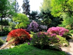 Lovely Garden