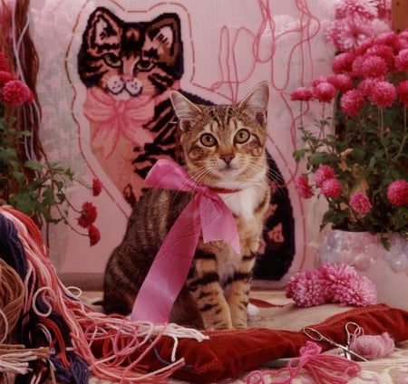 Tabby cat in pink ribbon - cats, kitty, animals, pink ribbon