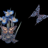 Blue Orchids and Butterflies