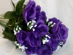 Purple Roses