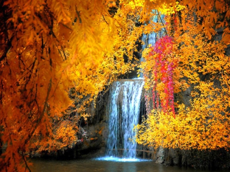 Autumn Waterfall - fall, trees, water, colors, seasonal, creek