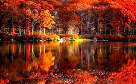 Autumn at Lake - fall, trees, leaves, colors, seasonal, lakeside