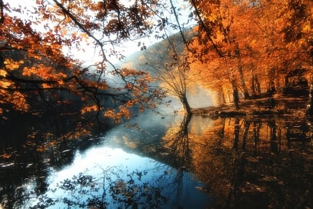 Morning Fog - morning calm, forest, beautiful, leaves, grass, morning, river, golden, fog, nature, mist, autumn, water, hills, yellow, season, blue, lake, foggy, reflection, orange, trees