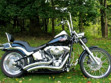 Harley Chopper - harley, chopper, motorcycle, bike