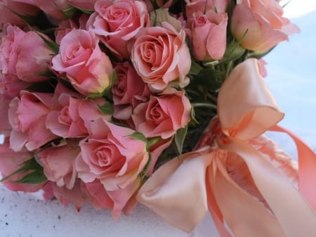 pink roses in pink ribbon - ribbon, flowers, bouquet, still life, pink roses